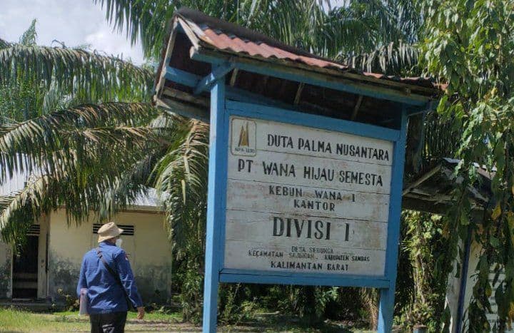 Kejaksaan Agung Sita puluhan hektare lahan sawit milik Surya Darmadi (Foto: Puspenkum Kejagung)