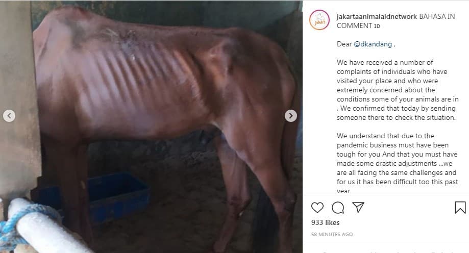 Netizen Syok Lihat Foto-foto Hewan Tak Terurus dan Kelaparan, D'Kandang Banjir Kritikan