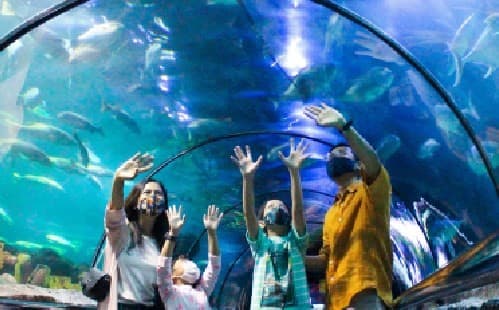 Taman Impian Jaya Ancol