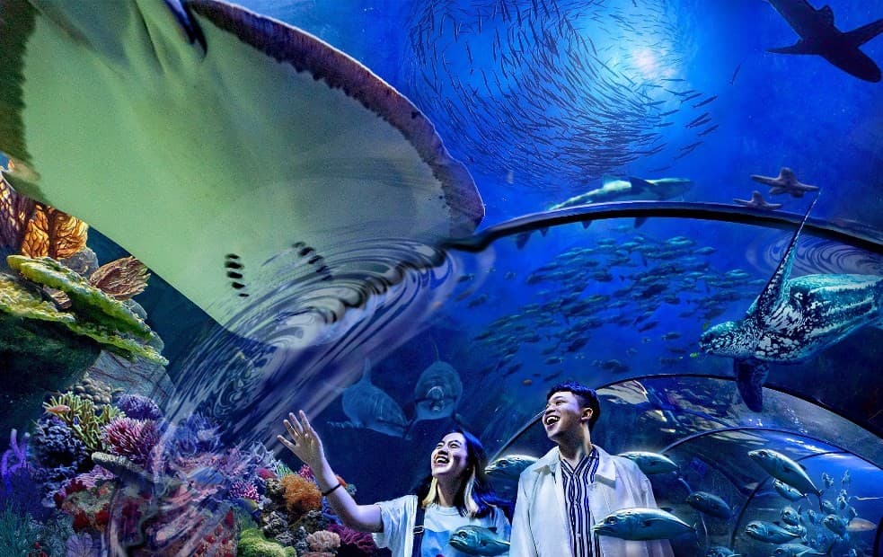 Sea World Ancol (Foto: Tiket.com)