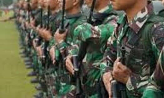 Anggota TNI (Foto:Istimewa)