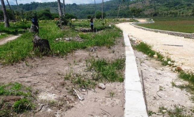 Tanah sengketa di Sumba Barat (Foto: Istimewa)