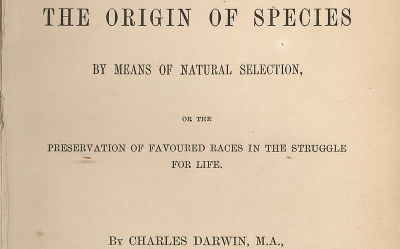 Mengenal The Origin of Species, Karya Fenomenal Charles Darwin yang Penuh Kontoversi