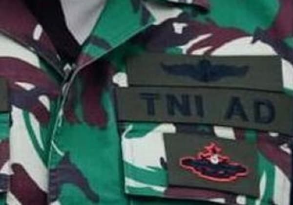 Ilustrasi TNI (Foto: Istimewa)