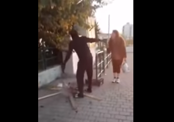 Kucing Kucing di Museum St Petersburg Turun Temurun Menjaga 3 Juta Karya Seni