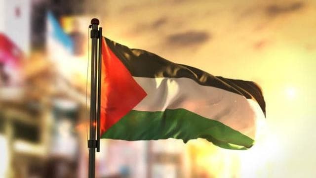 Bendera Palestina (Foto: Istimewa)