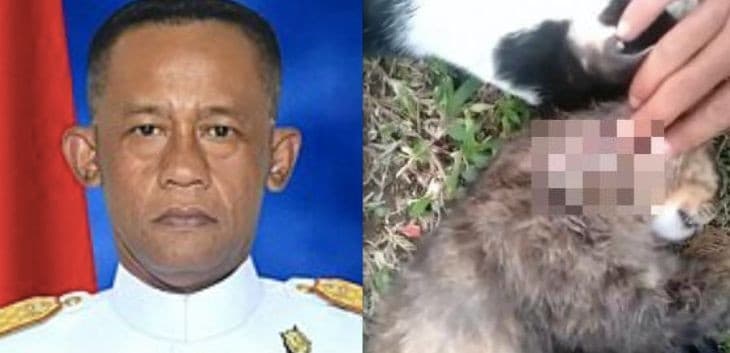 Brigjen NA pembunuh kucing di Bandung