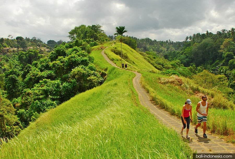 Jadi Kota Terbaik di Asia, Ini 3 Destinasi Wisata di Ubud yang Wajib Dikunjungi