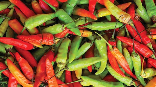 Istri Pimpinan Ponpes Siram Santri Pakai Air Cabai Ditetapkan Sebagai Tersangka