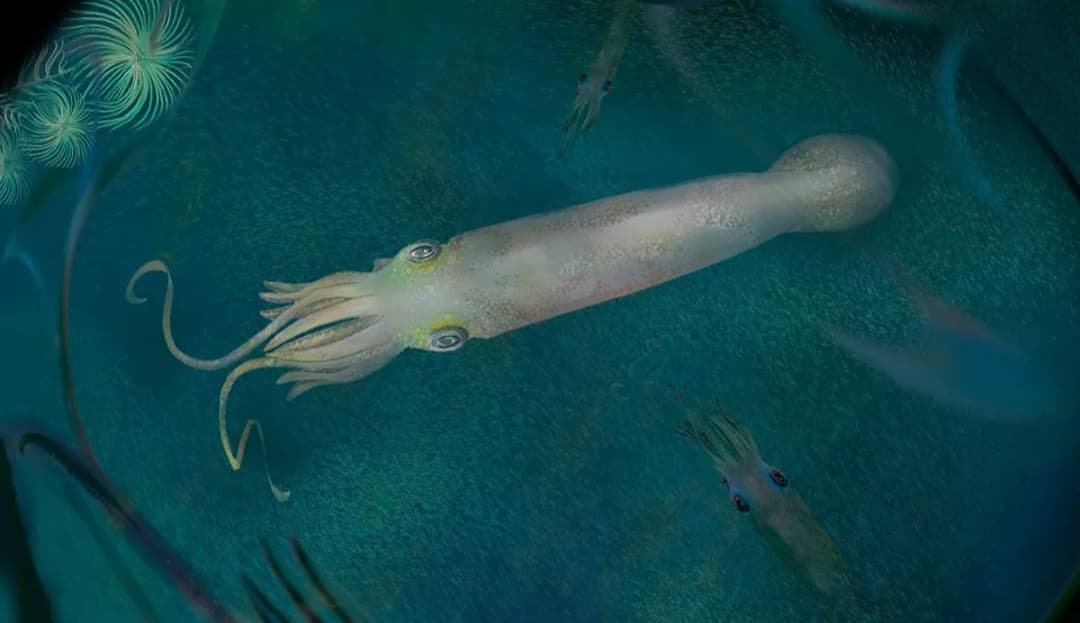 Peneliti Temukan Fosil Cumi-Cumi Vampir Purba dan Diberi Nama Joe Biden