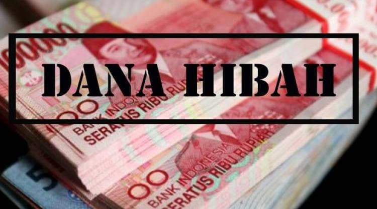 Ilustrasi Dana Hibah (Foto:Istimewa)