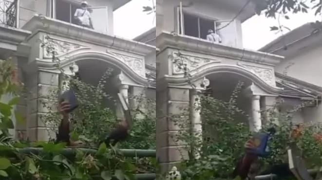 Heboh Petugas Lempar Alquran Saat Eksekusi Rumah Yatim Piatu, Ternyata Begini Kronologinya!