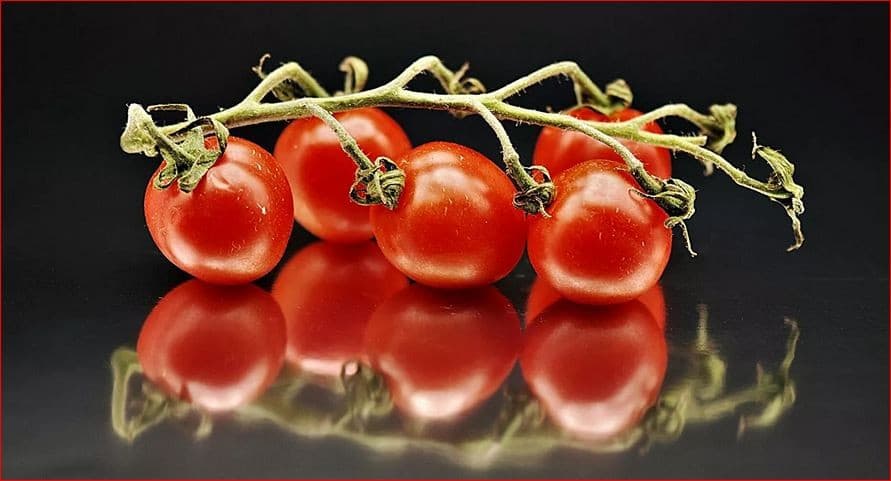 Manusia Belum ke Mars, Heinz Bikin Saus dari Tomat yang Ditanam di Lingkungan Mirip Planet Merah