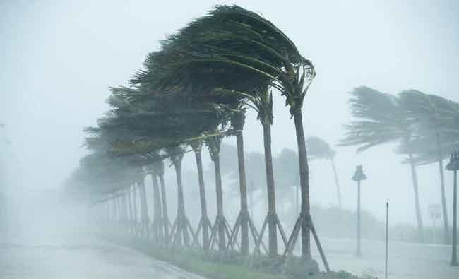 Hujan lebat diserai angin kencang (Foto: Arab News)