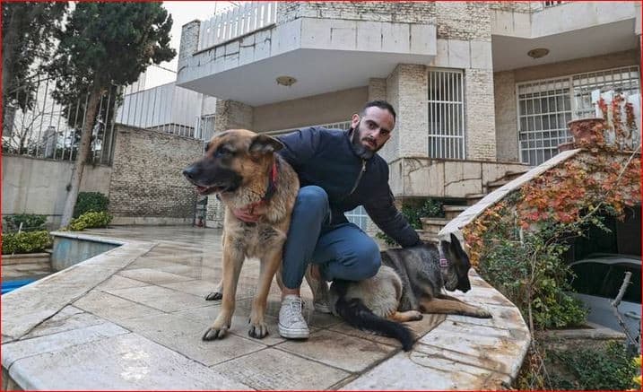 Berencana Larang Hewan Peliharaan, Iran Diejek dan Dicemooh Dunia