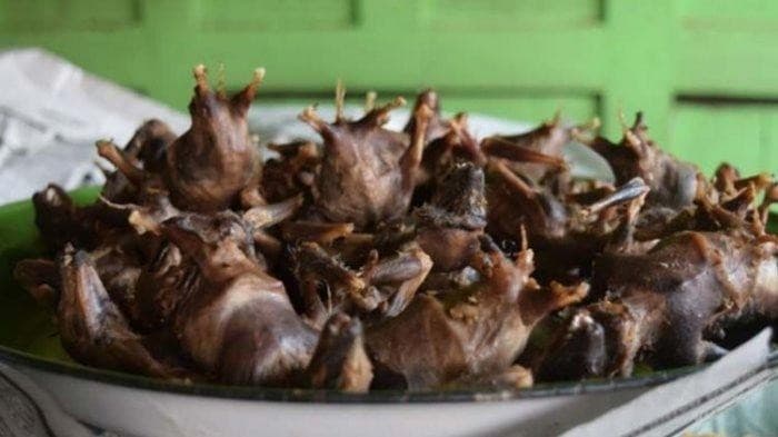 Masakan Kelelawar (Foto:Istimewa)