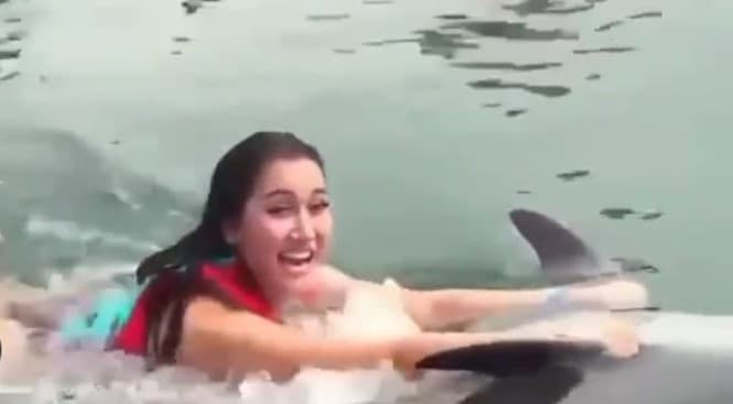 'Naik' Lumba-lumba Lucinta Luna, Susi Pudjiastuti: Dungu dan Bodoh!