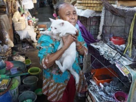 Sosok Mbah Sendang Sri Sumini (Foto: Sunaryo Haryo Bayu/IDZ Creators)