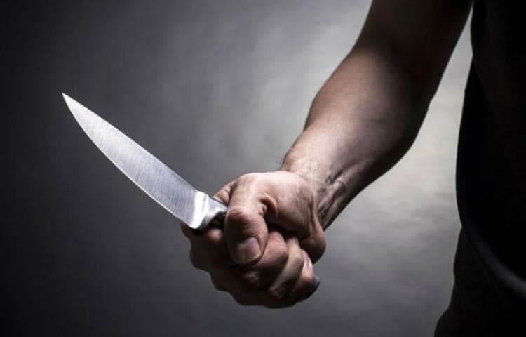 Viral Video Anggota LSM Gerhana Tikam Satpam SMKN 9 Tangerang Modus Paksa Ketemu Kepala Sekolah Minta THR, Warganet Geram