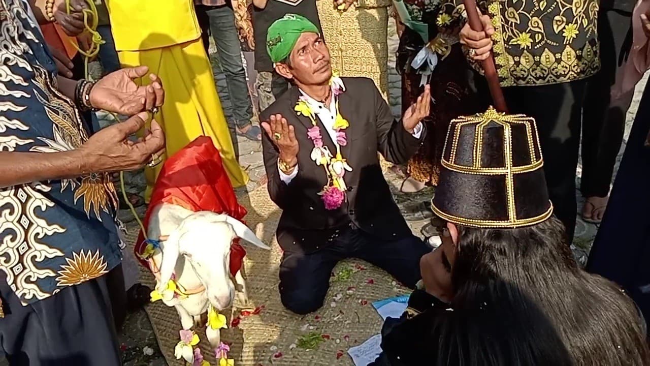 Ritual Pernikahan Seorang Pria dengan Kambing Bernama Sri Rahayu (Foto:Istimewa)