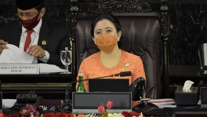 Ketua DPR RI, Puan Maharani (Foto: Istimewa)