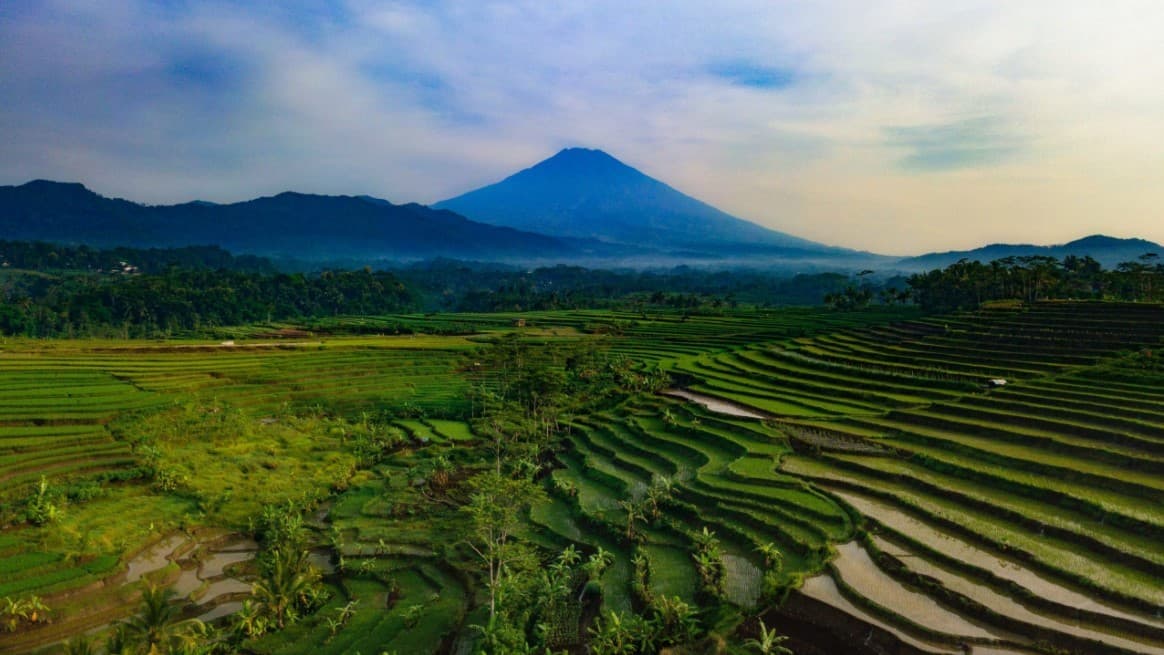 Ubud jadi kota ke-4 terbaik sedunia. (Foto: Elite Havens)
