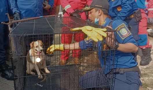 Momen Dramatis Tim Damkar Kota Bekasi Selamatkan Puluhan Anjing yang Ditelantarkan Pemiliknya, Kondisinya Miris!