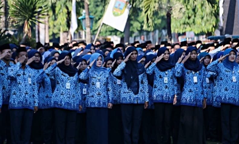 Ilustrasi ASN (Foto:Antara)