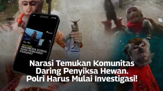 Aksi Sadis Komunitas Daring Penyiksa Hewan Bikin Resah, Yuk Desak Polri Lakukan Investigasi Lewat Petisi Ini!