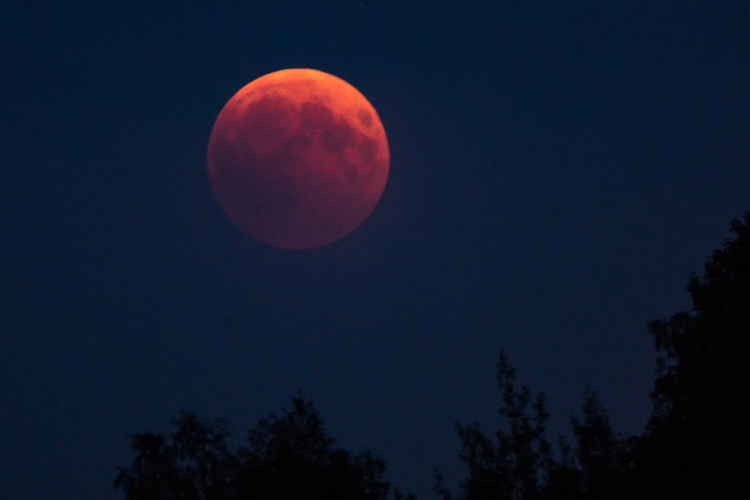 Gerhana bulan (foto: istimewa)