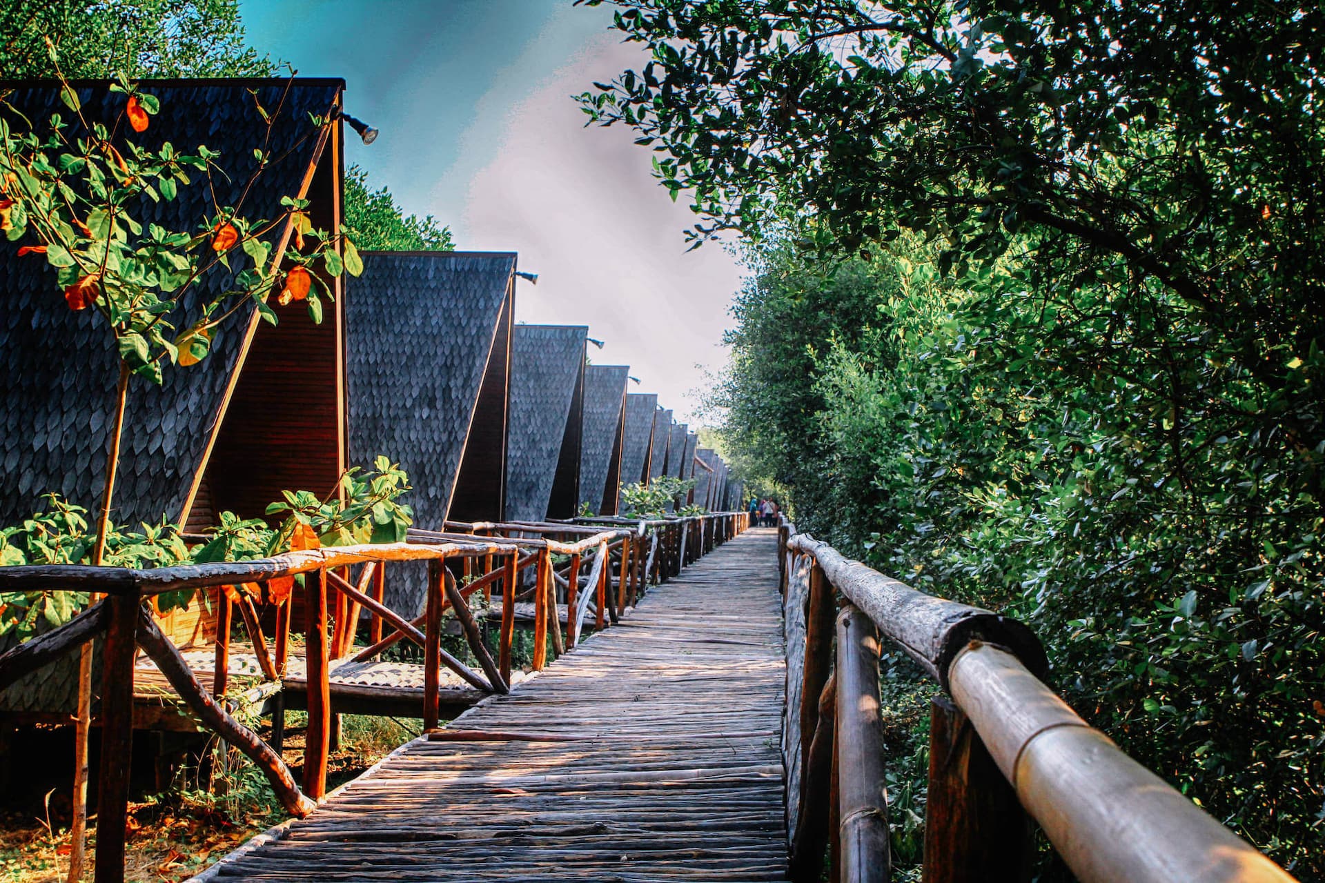 Taman Wisata Alam Mangrove Angke (foto:jakartamangrove.id)