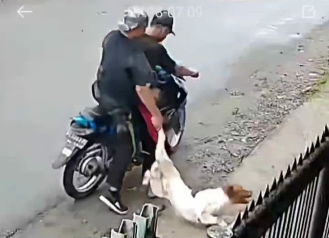 Viral Seekor Anjing Diculik dan Diseret Menggunakan Sepeda Motor di Medan, Pemilik Lapor Polisi!