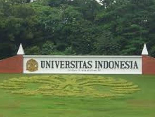 Universitas Indonesia (Foto:Istimewa)