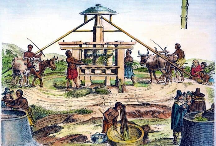 Raja Belanda Willem-Alexander akan Minta Maaf atas Keterlibatan Nenek Moyangnya dalam Perbudakan