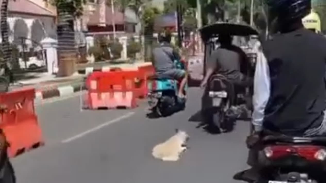 Pengemudi Bentor Seret Anjing di Jalan Raya (Foto:Istimewa)