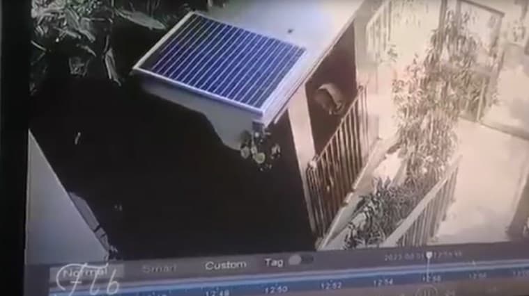 Beredar rekaman CCTV detik-detik insiden lift maut di Ubud, Bali.