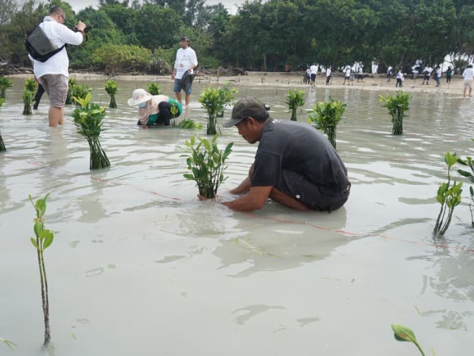 LindungiHutan dan Liberty Society Berkolaborasi Hadirkan 'TreeshBash'.