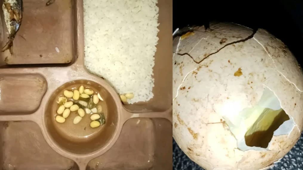 Viral menu makanan penjara di Indonesia.