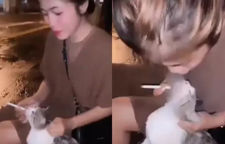Viral Wanita Siksa dan Paksa Kucing Hisap Rokok, Ditegur Malah Nantang!