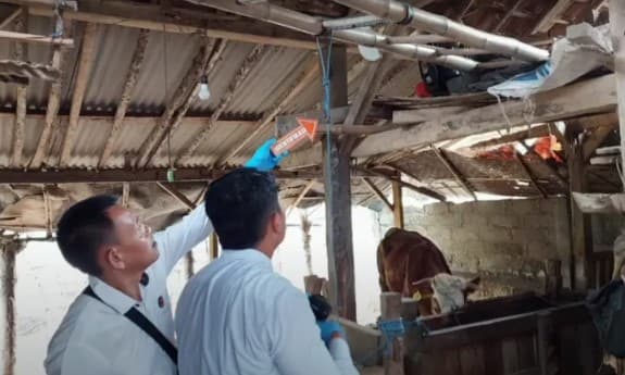 Bocah 11 Tahun Tewas Gantung Diri di Kandang Sapi. (Foto: Portaljtv)