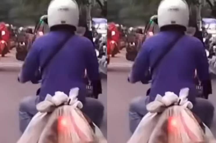 Viral Pemotor Bawa Karung Isi Anjing Dikejar Warga di Jakarta Utara, Diduga Tukang Jagal