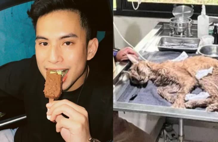 Okin diduga menelantarkan kucing langka sampai mati.