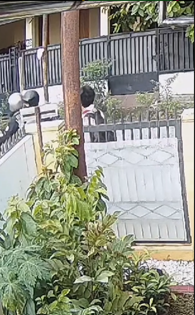 IG @fakta.jakarta