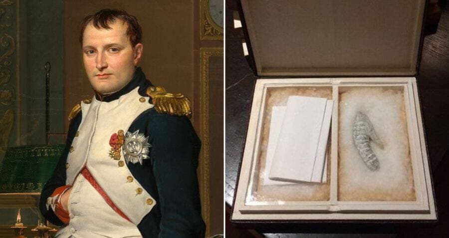 Foto: allthatsinteresting.com