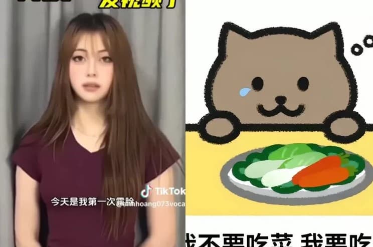 Dirujak Netizen Sedunia! Ternyata Ini Sosok Tan Zhu, Cewek 'Red Flag' yang Diduga Jadi Penyebab Fat Cat Pro Player Game Bunuh Diri