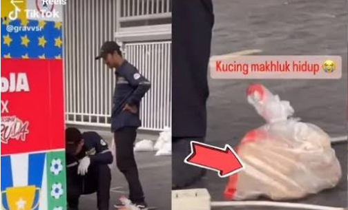Kucing Liar di GBK Dimasukkan ke Plastik (Foto:Istimewa)