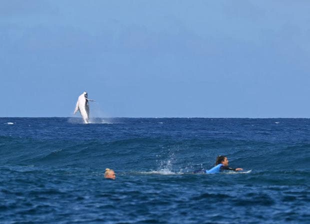 Foto: cbsnews.com