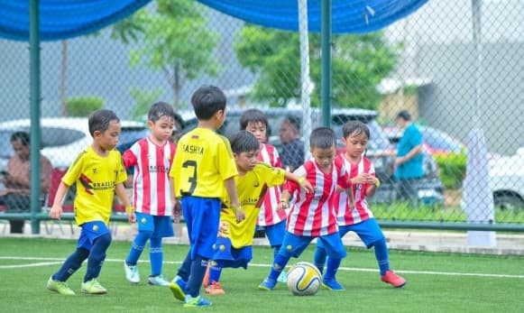 Brazilian Soccer Schools Gelar Internal Cup Vol.02
Copa America Series.