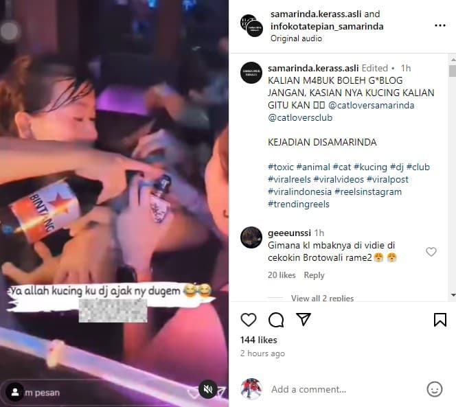 Viral Kucing Dicekoki Miras oleh 2 Wanita, Diduga Terjadi di Samarinda. (Foto: Instagram/@samarinda.kerass.asli)