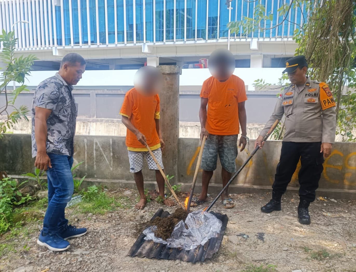 Pemusnahan barang bukti ganja (Foto: Polda Papua)